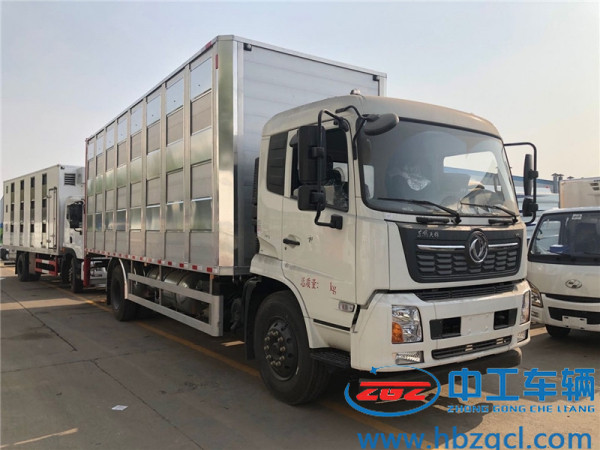 东风天锦6米8单桥铝合金运猪车